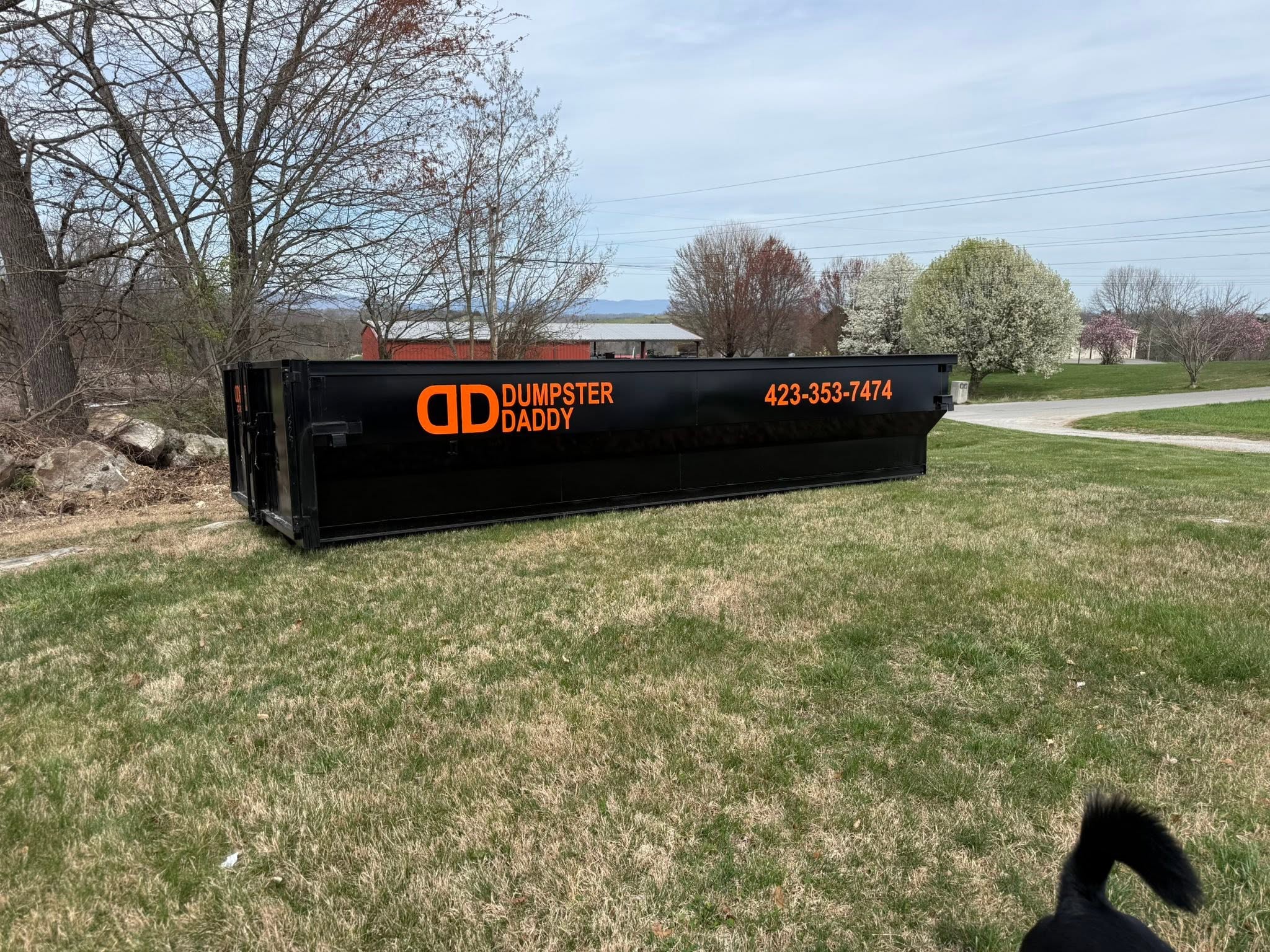 Black Dumpster Daddy dumpster with orange lettering placed on a lawn